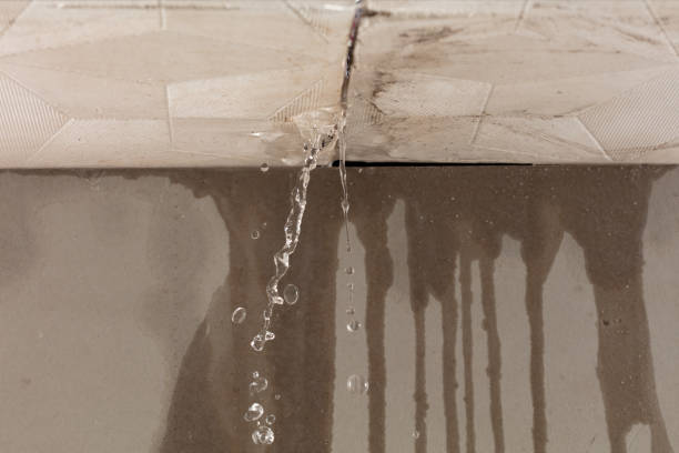 Professional Water Extraction technician working in Dansville, MI